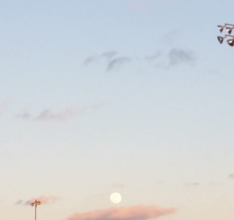 Soccer Field image 3