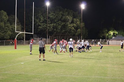 Soccer Field image 1