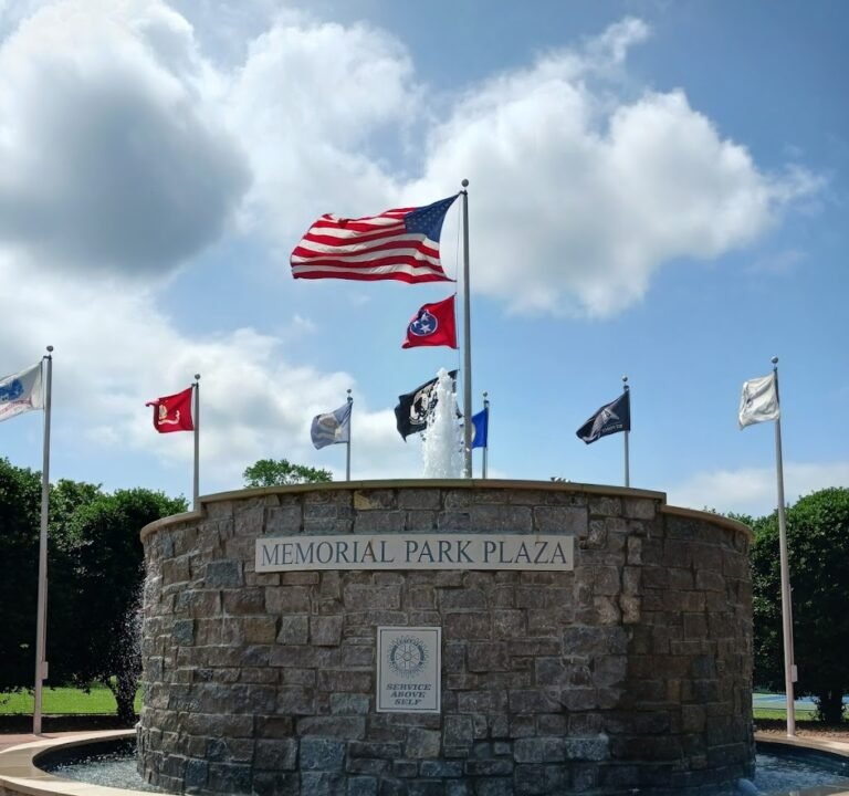 Soccer Field image 2