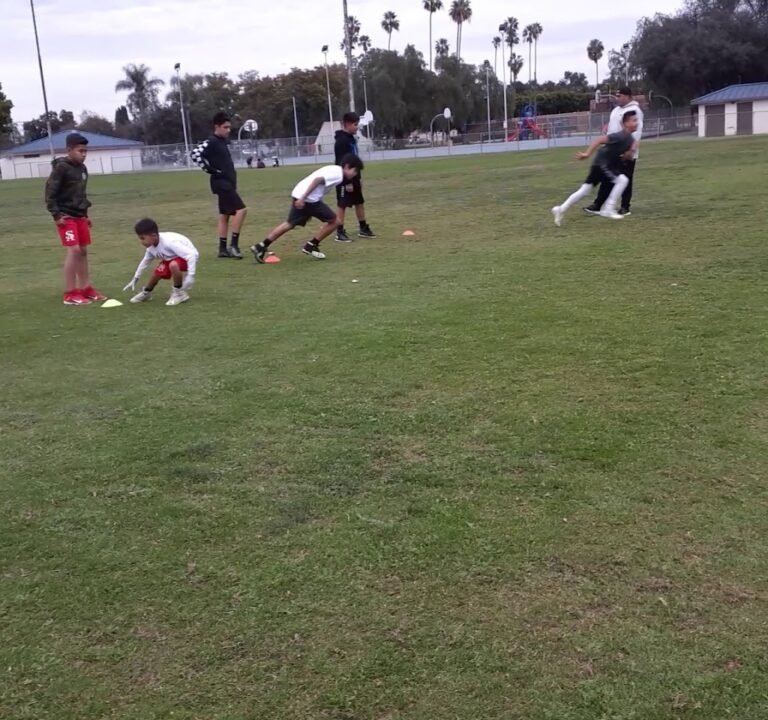 Soccer Field image 4