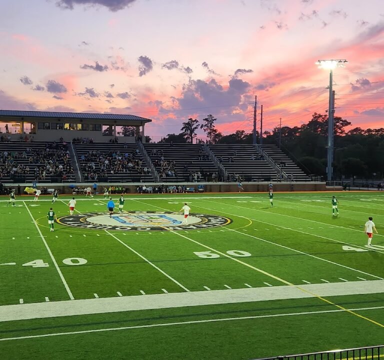 Soccer Field image 2