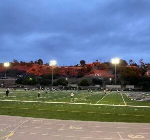 Soccer Field image 2