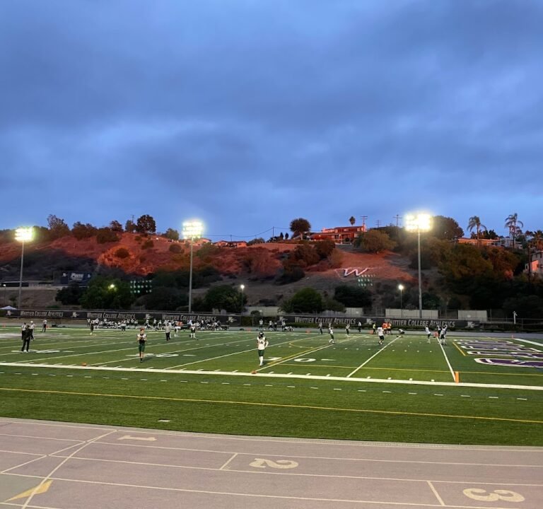 Soccer Field image 2