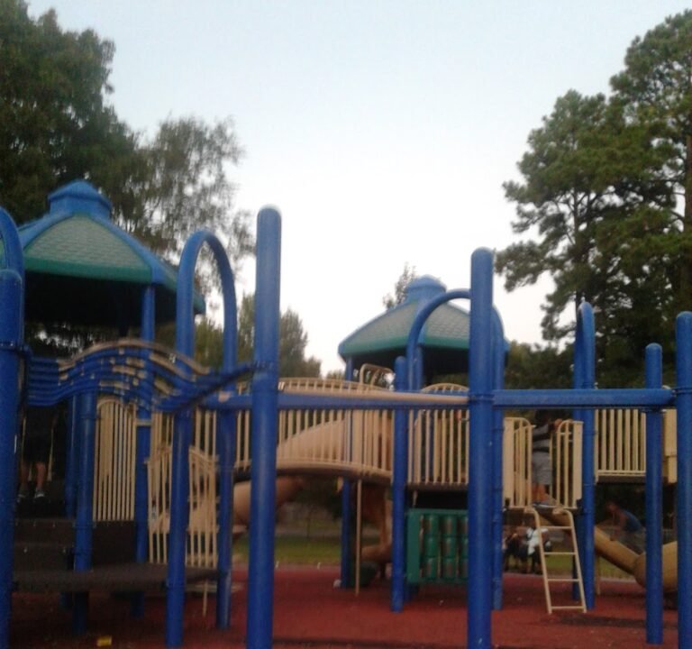 Soccer Field image 2