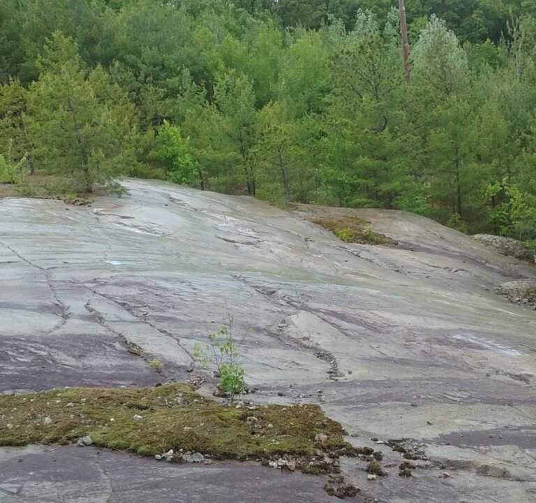 Soccer Field image 2