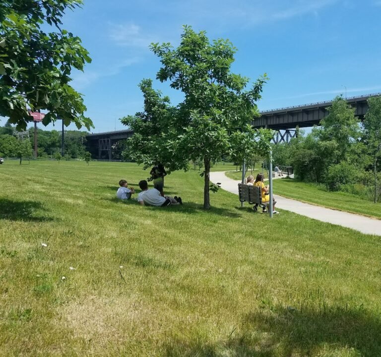 Soccer Field image 2