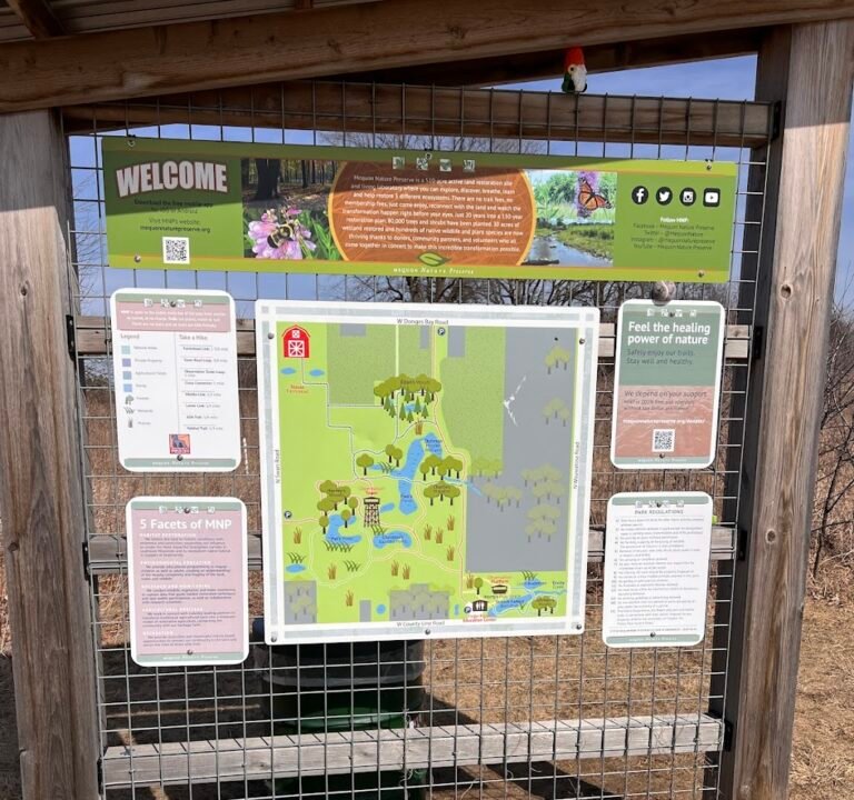 Soccer Field image 3