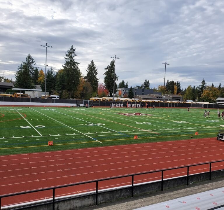 Soccer Field image 2
