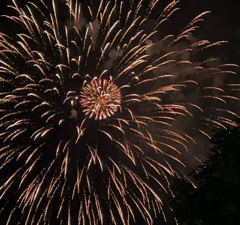 Soccer Field image 2