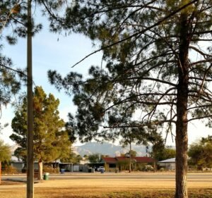 Soccer Field image 2