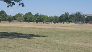 Soccer Field image 1