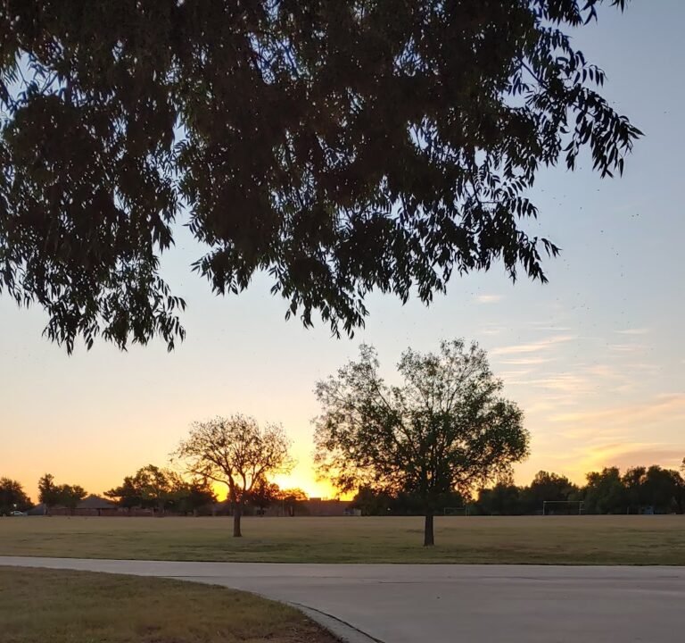 Soccer Field image 2