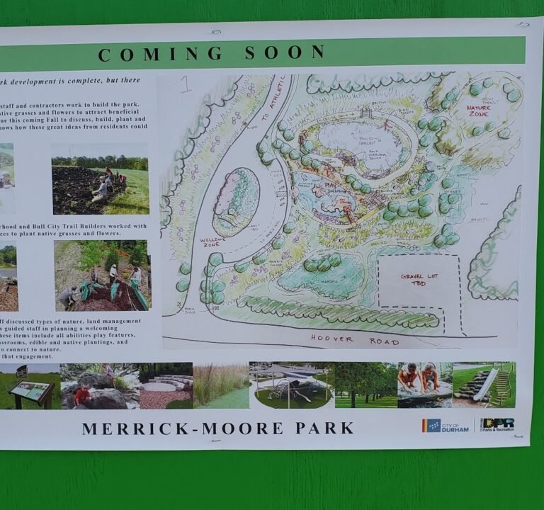 Soccer Field image 3