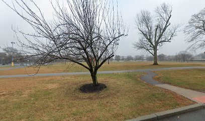 Soccer Field image 1