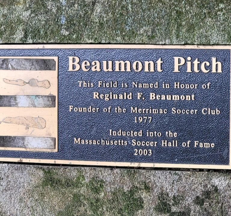 Soccer Field image 2