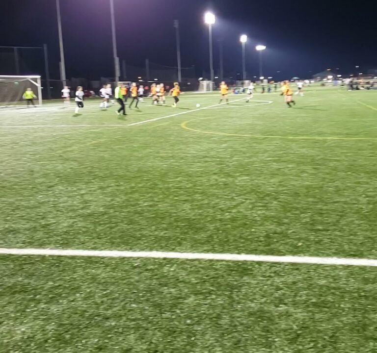 Soccer Field image 4