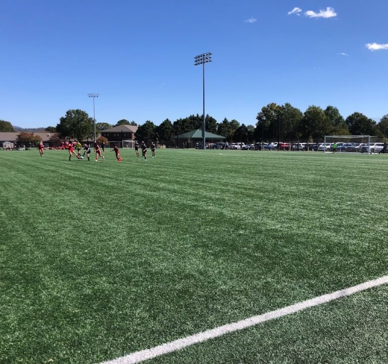 Soccer Field image 2