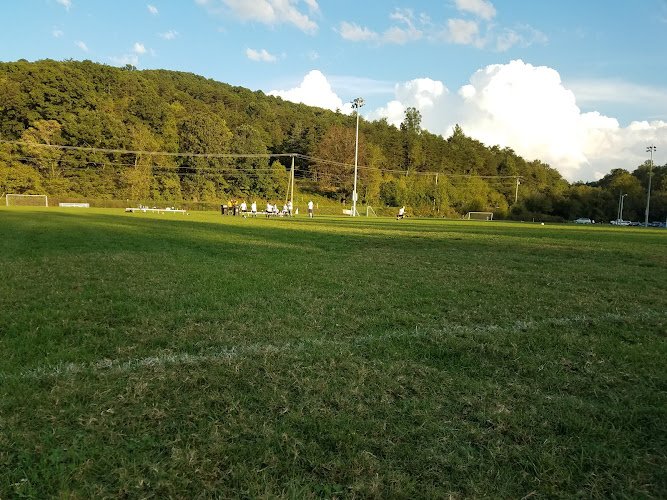 Soccer Field image 1