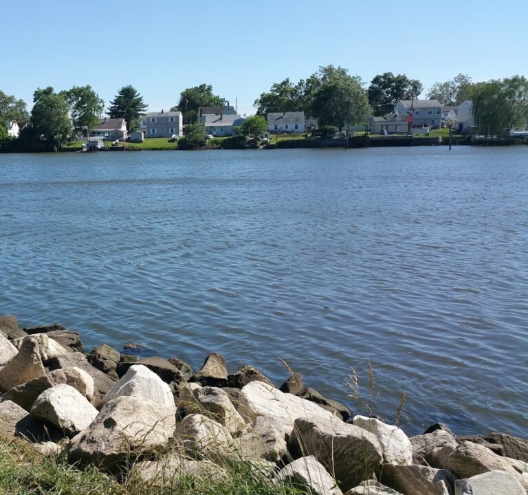 Soccer Field image 2