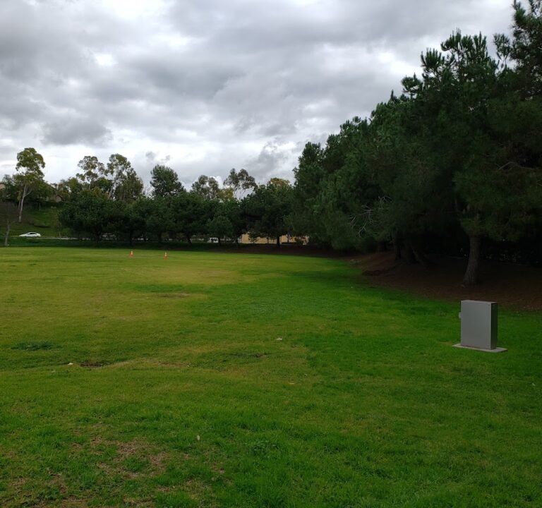 Soccer Field image 2