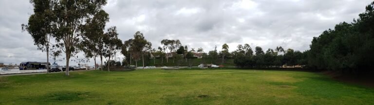 Soccer Field Featured Image