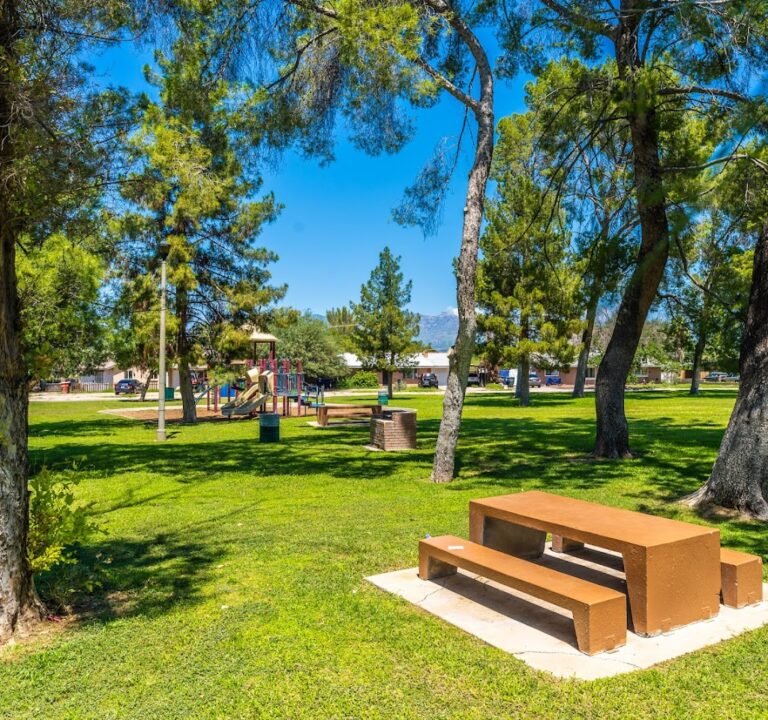 Soccer Field image 2