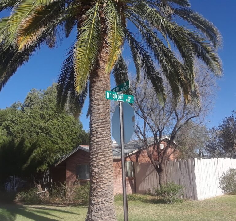 Soccer Field image 3