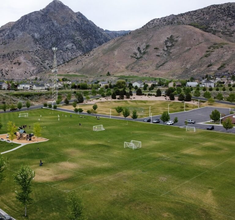 Soccer Field image 2