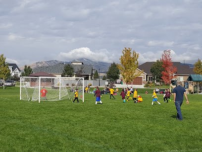Soccer Field image 1