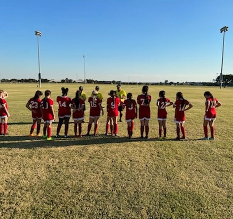 Soccer Field image 2