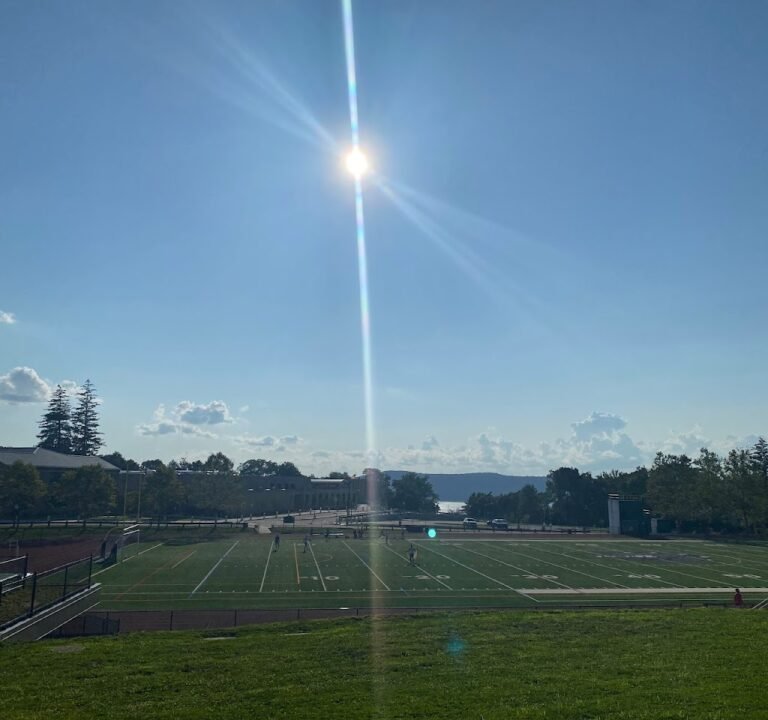 Soccer Field image 2