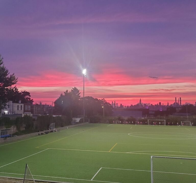 Soccer Field image 2