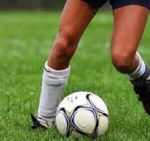 Soccer Field image 2