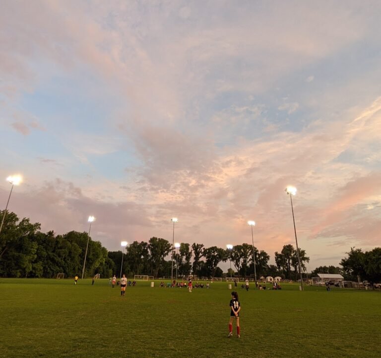 Soccer Field image 2