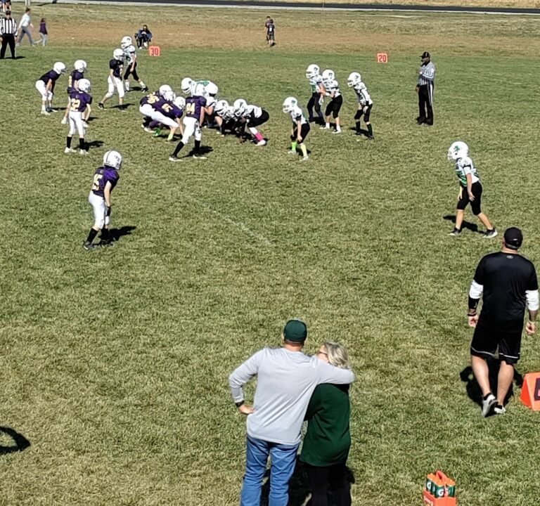 Soccer Field image 2