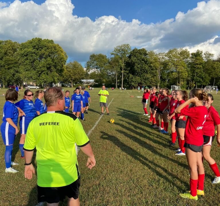 Soccer Field image 4