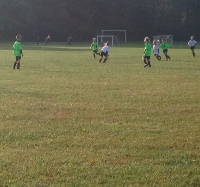 Soccer Field image 3