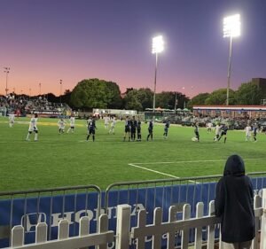 Soccer Field image 4