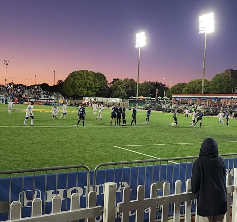 Soccer Field image 4