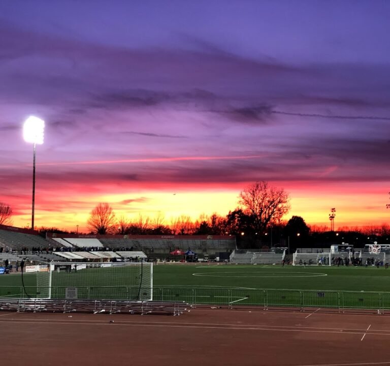 Soccer Field image 2