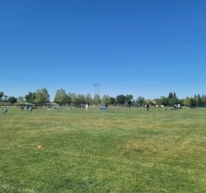 Soccer Field image 2
