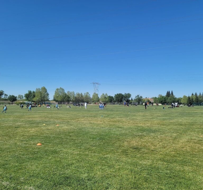 Soccer Field image 2