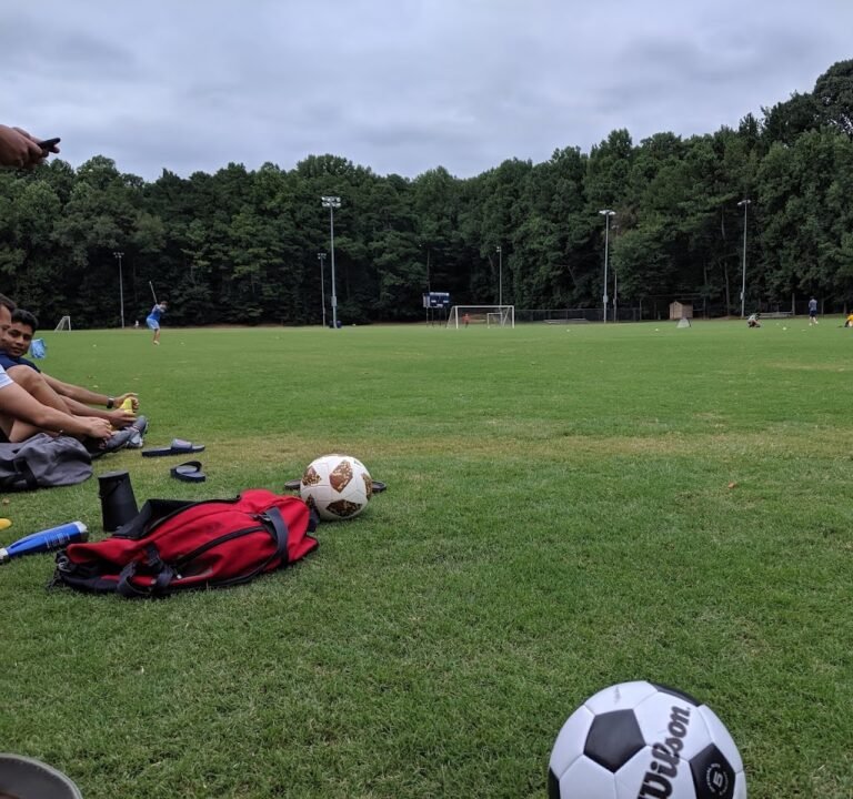 Soccer Field image 2