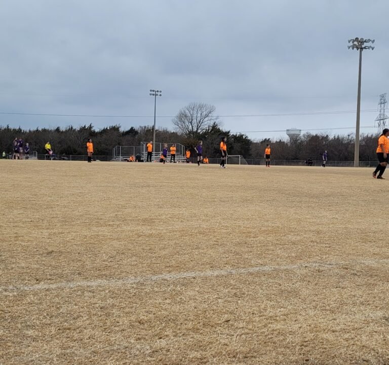 Soccer Field image 2