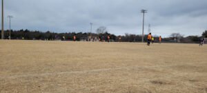Soccer Field image 1