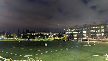 Soccer Field image 1