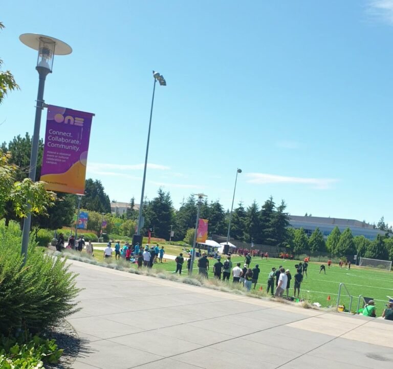 Soccer Field image 4