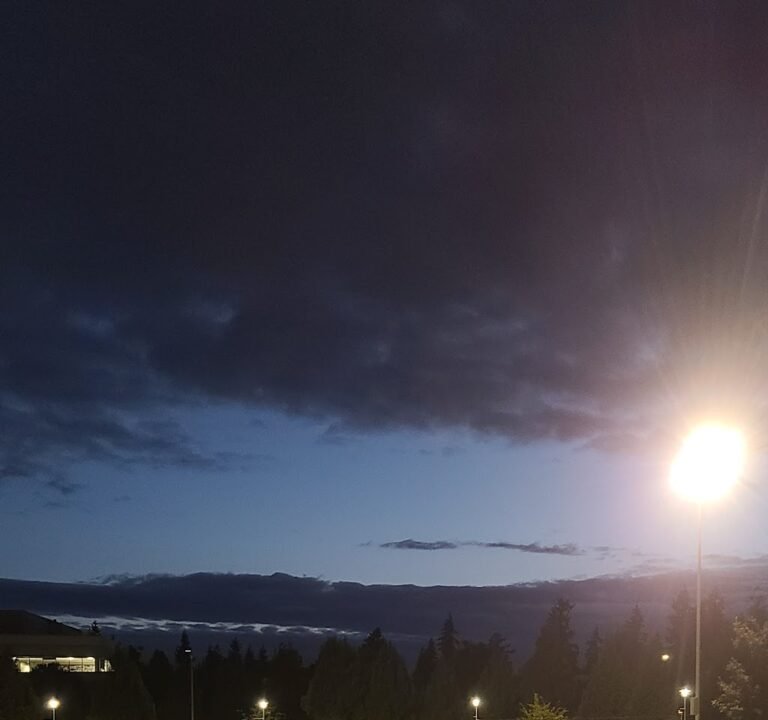 Soccer Field image 2