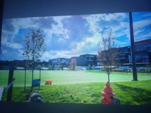 Soccer Field image 1