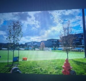 Soccer Field image 2